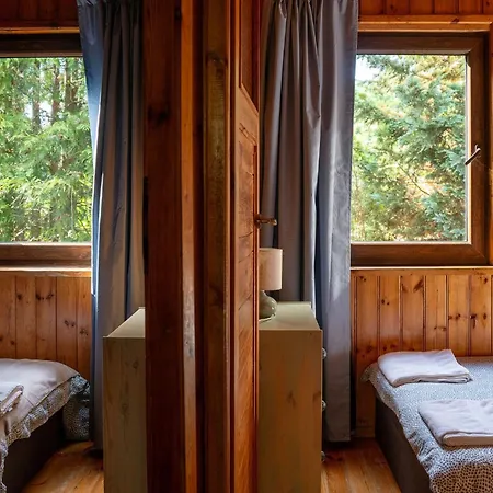 Villa Krokusowa 8 *