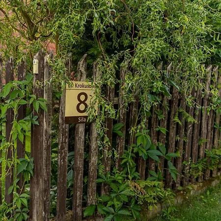 Krokusowa 8 Villa Sila
