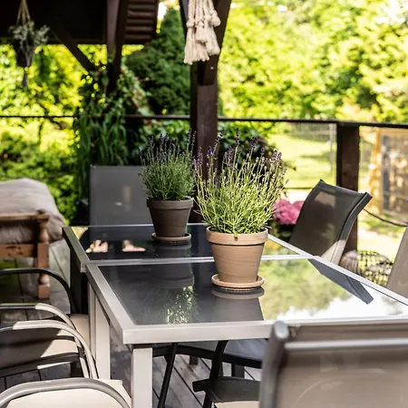 Villa Krokusowa 8 *