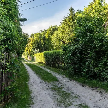 Villa Krokusowa 8 *